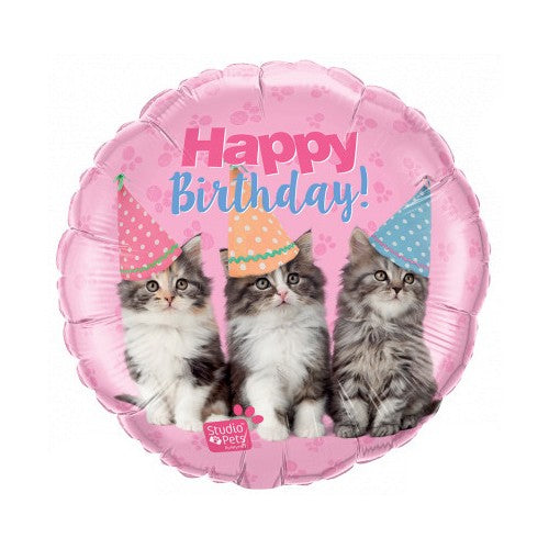 Happy Birthday - Kittens